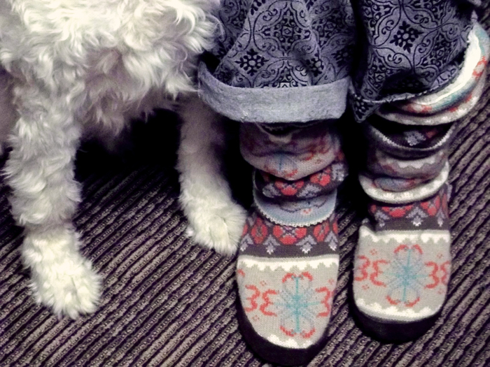 Home Office Fashion: Muk Luks and Paws