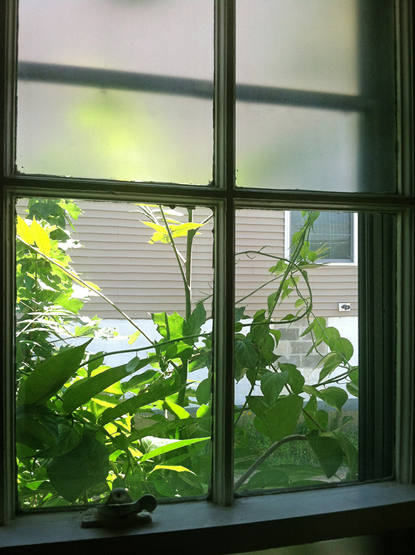 The DIY Project that “Hides Your Neighbor’s Windows”