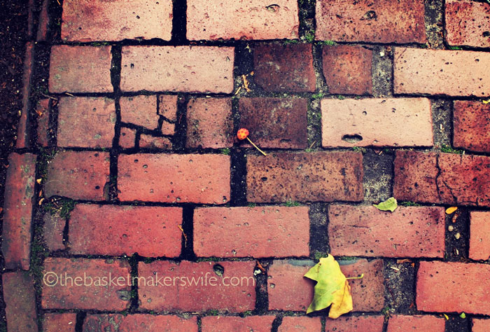 nantucket-2015-looking-down-brick-leaf