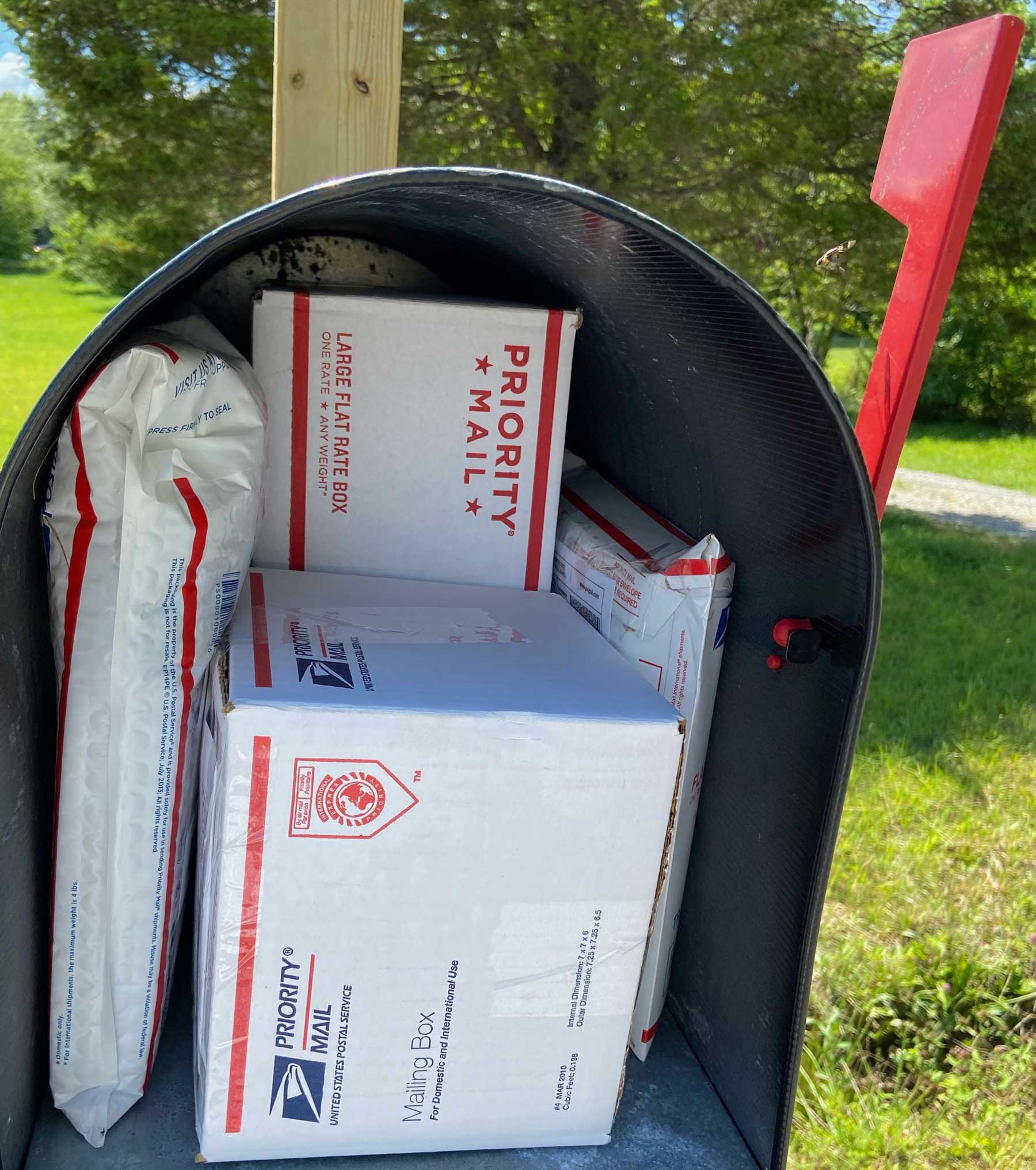 Five backorders are going out!